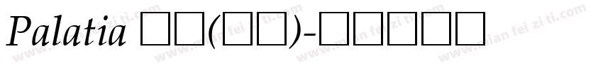 Palatia 粗体(西方)字体转换